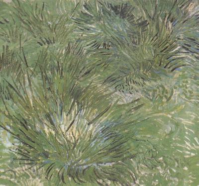 Vincent Van Gogh Clumps of Grass (nn04) Spain oil painting art